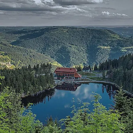 Διαμέρισμα Ferienwohnung, Im Kinzigtal *