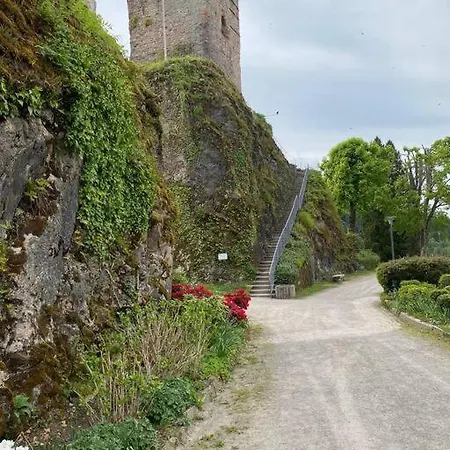 Ferienwohnung, Im Kinzigtal Διαμέρισμα