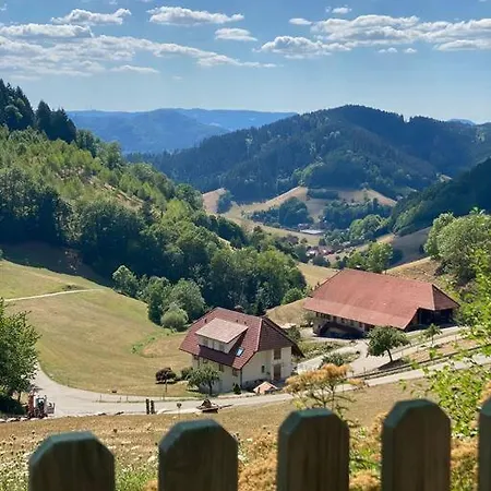 Ferienwohnung, Im Kinzigtal Διαμέρισμα