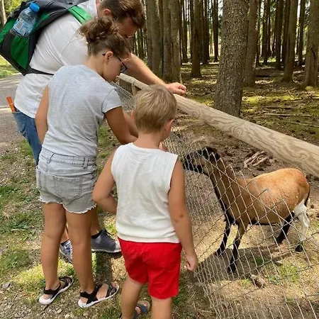 Ferienwohnung, Im Kinzigtal