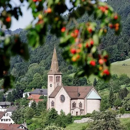 Διαμέρισμα Ferienwohnung, Im Kinzigtal