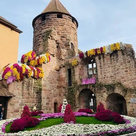 Διαμέρισμα Ferienwohnung, Im Kinzigtal *